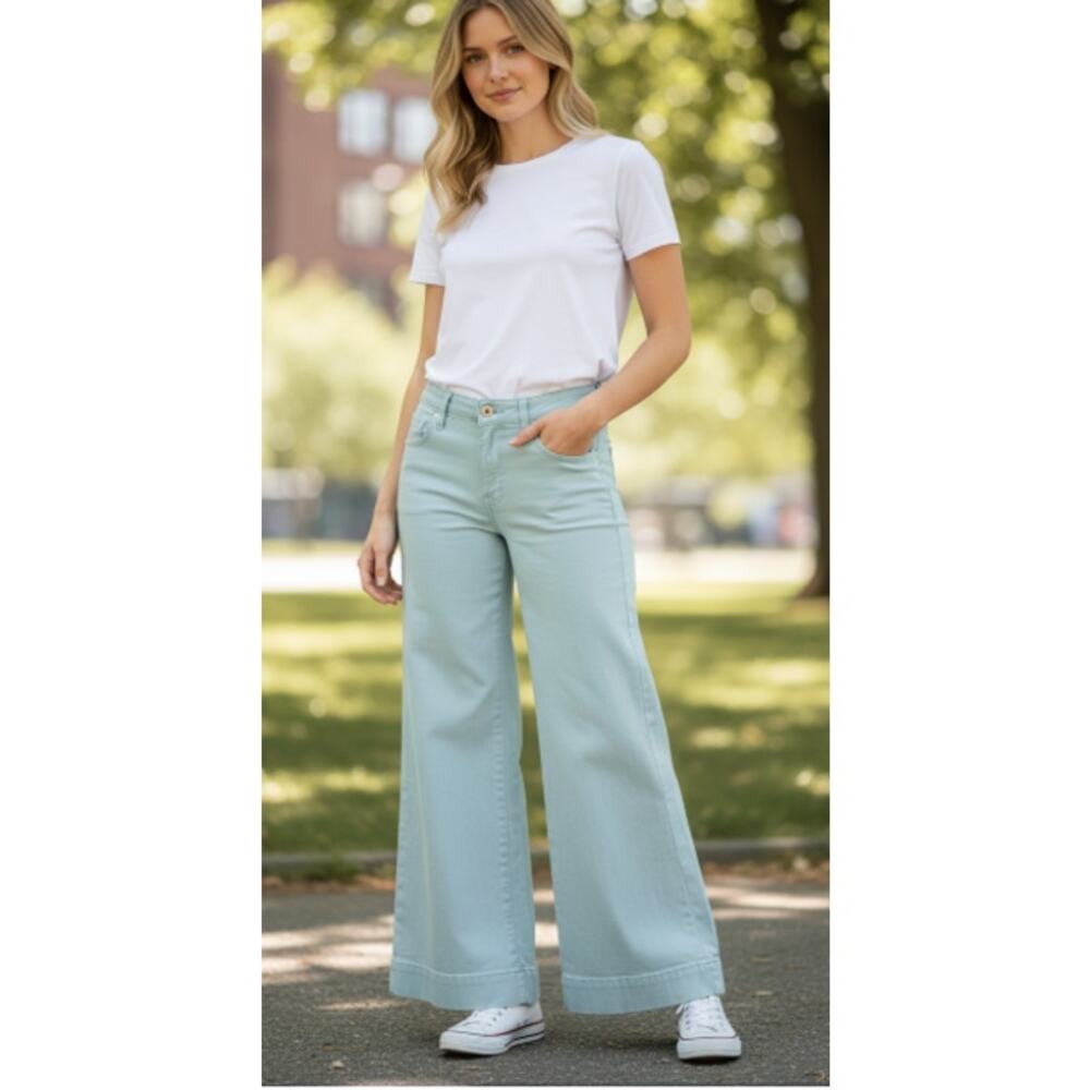 Anthropologie Baby Blue Pilcro & the Letterpress Pants size 29